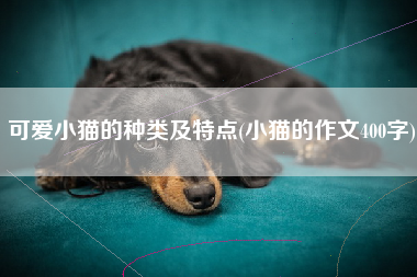 可爱小猫的种类及特点(小猫的作文400字)