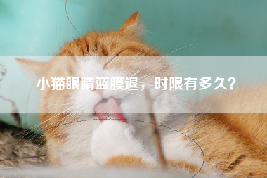 小猫眼睛蓝膜退，时限有多久？