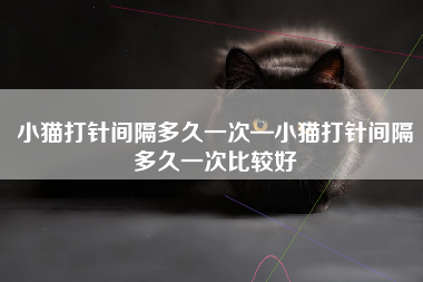 小猫打针间隔多久一次—小猫打针间隔多久一次比较好