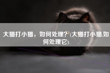 大猫打小猫，如何处理？(大猫打小猫,如何处理它)