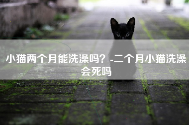 小猫两个月能洗澡吗？-二个月小猫洗澡会死吗