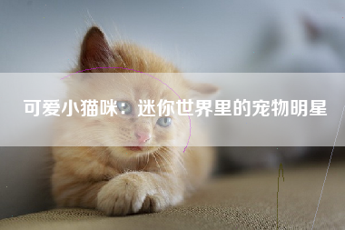 可爱小猫咪：迷你世界里的宠物明星