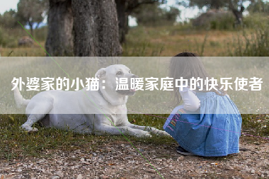 外婆家的小猫：温暖家庭中的快乐使者