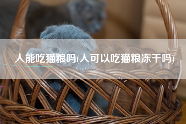 人能吃猫粮吗(人可以吃猫粮冻干吗)