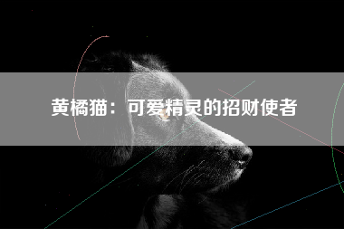 黄橘猫：可爱精灵的招财使者