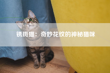 锈斑猫：奇妙花纹的神秘猫咪