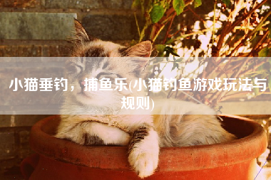 小猫垂钓，捕鱼乐(小猫钓鱼游戏玩法与规则)