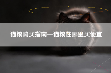 猫粮购买指南—猫粮在哪里买便宜