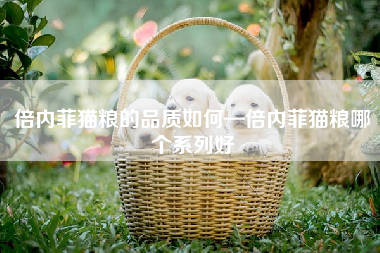 倍内菲猫粮的品质如何—倍内菲猫粮哪个系列好