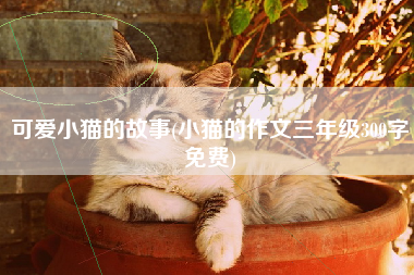 可爱小猫的故事(小猫的作文三年级300字免费)