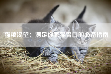 猫粮渴望：满足你家猫胃口的必备指南