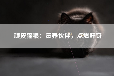 顽皮猫粮：滋养伙伴，点燃好奇