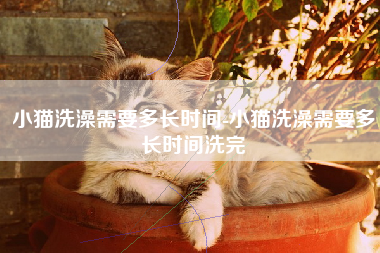 小猫洗澡需要多长时间-小猫洗澡需要多长时间洗完