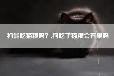 狗能吃猫粮吗？,狗吃了猫粮会有事吗