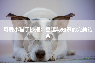 可爱小猫手抄报：童趣与知识的完美结合