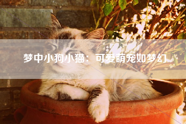 梦中小狗小猫：可爱萌宠如梦幻