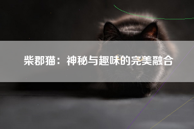 柴郡猫：神秘与趣味的完美融合