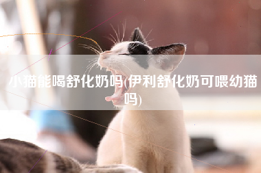 小猫能喝舒化奶吗(伊利舒化奶可喂幼猫吗)