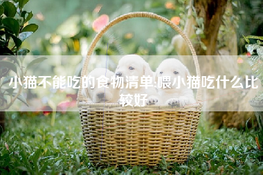 小猫不能吃的食物清单;喂小猫吃什么比较好