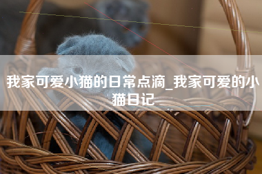 我家可爱小猫的日常点滴_我家可爱的小猫日记