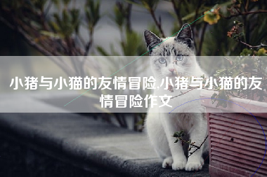 小猪与小猫的友情冒险,小猪与小猫的友情冒险作文