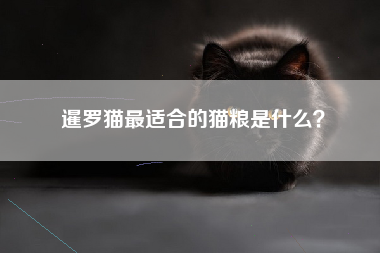 暹罗猫最适合的猫粮是什么？