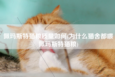 佩玛斯特猫粮质量如何(为什么猫舍都喂佩玛斯特猫粮)