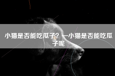 小猫是否能吃瓜子？—小猫是否能吃瓜子呢