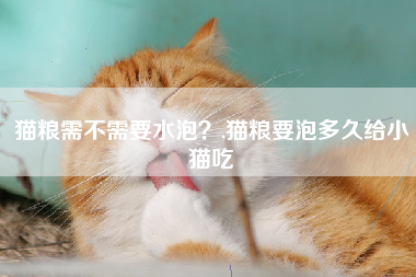 猫粮需不需要水泡？,猫粮要泡多久给小猫吃