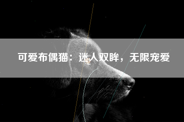 可爱布偶猫：迷人双眸，无限宠爱