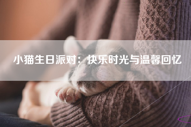 小猫生日派对：快乐时光与温馨回忆