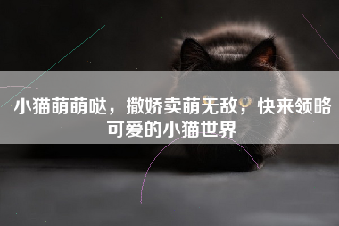 小猫萌萌哒，撒娇卖萌无敌，快来领略可爱的小猫世界