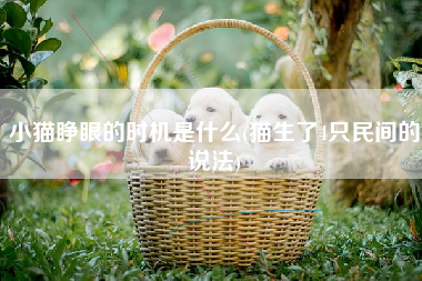 小猫睁眼的时机是什么(猫生了4只民间的说法)