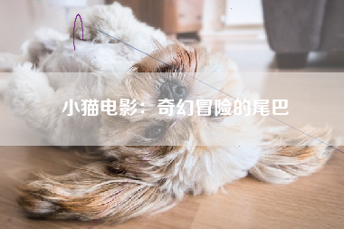 小猫电影：奇幻冒险的尾巴