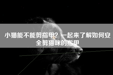 小猫能不能剪指甲？一起来了解如何安全剪猫咪的指甲