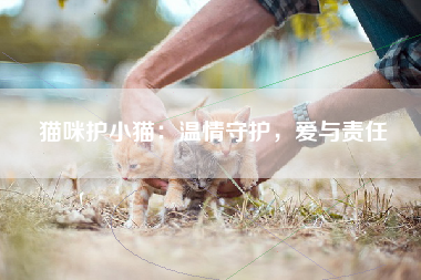 猫咪护小猫：温情守护，爱与责任