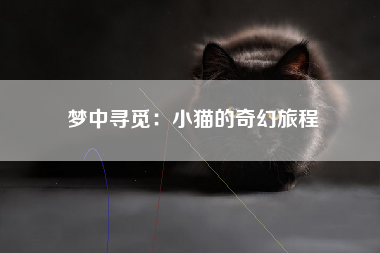 梦中寻觅：小猫的奇幻旅程