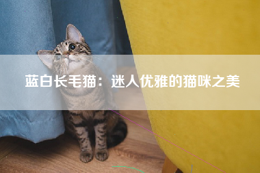 蓝白长毛猫：迷人优雅的猫咪之美