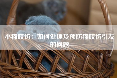 小猫咬伤：如何处理及预防猫咬伤引发的问题