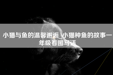 小猫与鱼的温馨邂逅_小猫种鱼的故事一年级看图写话