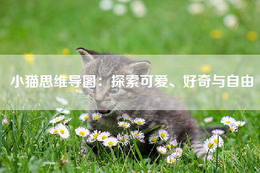 小猫思维导图：探索可爱、好奇与自由