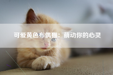 可爱黄色布偶猫：萌动你的心灵