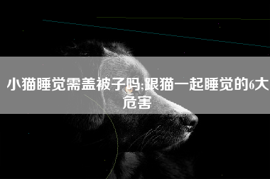 小猫睡觉需盖被子吗;跟猫一起睡觉的6大危害