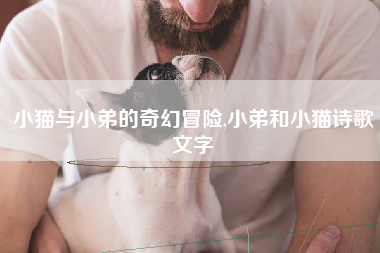 小猫与小弟的奇幻冒险,小弟和小猫诗歌文字