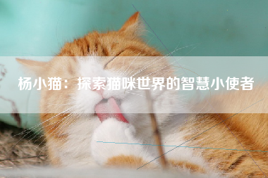 杨小猫：探索猫咪世界的智慧小使者