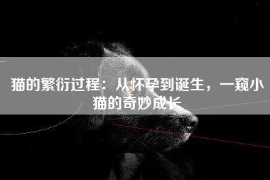 猫的繁衍过程：从怀孕到诞生，一窥小猫的奇妙成长