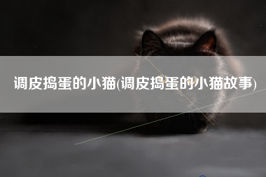 调皮捣蛋的小猫(调皮捣蛋的小猫故事)