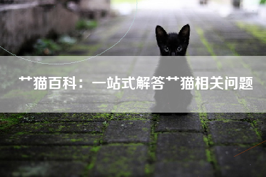 艹猫百科：一站式解答艹猫相关问题