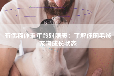 布偶猫体重年龄对照表：了解你的毛绒宠物成长状态