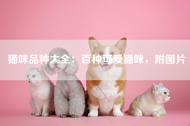 猫咪品种大全：百种可爱猫咪，附图片